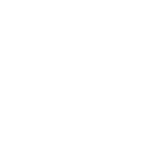 bokeh