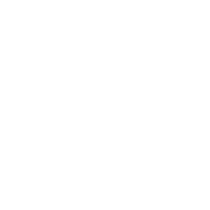 concepto
