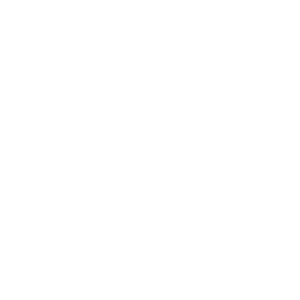 fundacion