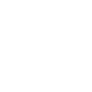 fundacion